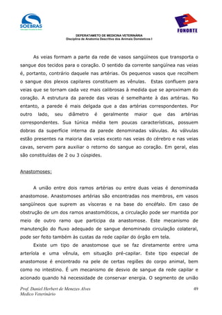 DEPERATAMETO DE MEDICINA VETERINÁRIA
                        Disciplina de Anatomia Descritiva dos Animais Domésticos I




        As veias formam a parte da rede de vasos sangüíneos que transporta o
sangue dos tecidos para o coração. O sentido da corrente sangüínea nas veias
é, portanto, contrário daquele nas artérias. Os pequenos vasos que recolhem
o sangue dos plexos capilares constituem as vênulas.                             Estas confluem para
veias que se tornam cada vez mais calibrosas à medida que se aproximam do
coração. A estrutura da parede das veias é semelhante à das artérias. No
entanto, a parede é mais delgada que a das artérias correspondentes. Por
outro    lado,    seu    diâmetro          é    geralmente            maior          que   das   artérias
correspondentes. Sua túnica média tem poucas características, possuem
dobras da superfície interna da parede denominadas válvulas. As válvulas
estão presentes na maioria das veias exceto nas veias do cérebro e nas veias
cavas, servem para auxiliar o retorno do sangue ao coração. Em geral, elas
são constituídas de 2 ou 3 cúspides.


Anastomoses:


        A união entre dois ramos artérias ou entre duas veias é denominada
anastomose. Anastomoses artérias são encontradas nos membros, em vasos
sangüíneos que suprem as vísceras e na base do encéfalo. Em caso de
obstrução de um dos ramos anastomóticos, a circulação pode ser mantida por
meio de outro ramo que participa da anastomose. Este mecanismo de
manutenção do fluxo adequado de sangue denominado circulação colateral,
pode ser feito também às custas da rede capilar do órgão em tela.
        Existe um tipo de anastomose que se faz diretamente entre uma
arteríola e uma vênula, em situação pré-capilar. Este tipo especial de
anastomose é encontrado na pele de certas regiões do corpo animal, bem
como no intestino. É um mecanismo de desvio de sangue da rede capilar e
acionado quando há necessidade de conservar energia. O segmento de união

Prof. Daniel Herbert de Menezes Alves                                                                 49
Medico Veterinário
 