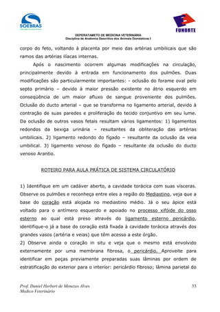 DEPERATAMETO DE MEDICINA VETERINÁRIA
                        Disciplina de Anatomia Descritiva dos Animais Domésticos I


corpo do feto, voltando à placenta por meio das artérias umbilicais que são
ramos das artérias ilíacas internas.
      Após o nascimento ocorrem algumas modificações na circulação,
principalmente devido à entrada em funcionamento dos pulmões. Duas
modificações são particularmente importantes: - oclusão do forame oval pelo
septo primário – devido à maior pressão existente no átrio esquerdo em
conseqüência de um maior afluxo de sangue proveniente dos pulmões.
Oclusão do ducto arterial – que se transforma no ligamento arterial, devido à
contração de suas paredes e proliferação do tecido conjuntivo em seu lume.
Da oclusão de outros vasos fetais resultam vários ligamentos: 1) ligamentos
redondos da bexiga urinária – resultantes da obliteração das artérias
umbilicais. 2) ligamento redondo do fígado – resultante da oclusão da veia
umbilical. 3) ligamento venoso do fígado – resultante da oclusão do ducto
venoso Arantio.


           ROTEIRO PARA AULA PRÁTICA DE SISTEMA CIRCULATÓRIO


1) Identifique em um cadáver aberto, a cavidade torácica com suas vísceras.
Observe os pulmões e reconheça entre eles a região do Mediastino, veja que a
base do coração está alojada no mediastino médio. Já o seu ápice está
voltado para o antímero esquerdo e apoiado no processo xifóide do osso
esterno ao qual está preso através do ligamento esterno pericárdio,
identifique-o já a base do coração está fixada à cavidade torácica através dos
grandes vasos (artéria e veias) que têm acesso a este órgão.
2) Observe ainda o coração in situ e veja que o mesmo está envolvido
externamente por uma membrana fibrosa, o pericárdio. Aproveite para
identificar em peças previamente preparadas suas lâminas por ordem de
estratificação do exterior para o interior: pericárdio fibroso; lâmina parietal do



Prof. Daniel Herbert de Menezes Alves                                                53
Medico Veterinário
 