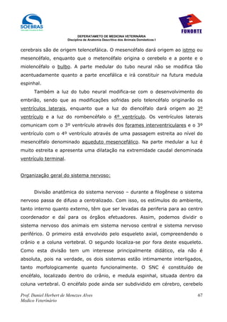 DEPERATAMETO DE MEDICINA VETERINÁRIA
                        Disciplina de Anatomia Descritiva dos Animais Domésticos I


cerebrais são de origem telencefálica. O mesencéfalo dará origem ao istmo ou
mesencéfalo, enquanto que o metencéfalo origina o cerebelo e a ponte e o
miolencéfalo o bulbo. A parte medular do tubo neural não se modifica tão
acentuadamente quanto a parte encefálica e irá constituir na futura medula
espinhal.
      Também a luz do tubo neural modifica-se com o desenvolvimento do
embrião, sendo que as modificações sofridas pelo telencéfalo originarão os
ventrículos laterais, enquanto que a luz do diencéfalo dará origem ao 3º
ventrículo e a luz do rombencéfalo o 4º ventrículo. Os ventrículos laterais
comunicam com o 3º ventrículo através dos forames interventriculares e o 3º
ventrículo com o 4º ventrículo através de uma passagem estreita ao nível do
mesencéfalo denominado aqueduto mesencefálico. Na parte medular a luz é
muito estreita e apresenta uma dilatação na extremidade caudal denominada
ventrículo terminal.


Organização geral do sistema nervoso:


      Divisão anatômica do sistema nervoso – durante a filogênese o sistema
nervoso passa de difuso a centralizado. Com isso, os estímulos do ambiente,
tanto interno quanto externo, têm que ser levadas da periferia para ao centro
coordenador e daí para os órgãos efetuadores. Assim, podemos dividir o
sistema nervoso dos animais em sistema nervoso central e sistema nervoso
periférico. O primeiro está envolvido pelo esqueleto axial, compreendendo o
crânio e a coluna vertebral. O segundo localiza-se por fora deste esqueleto.
Como esta divisão tem um interesse principalmente didático, ela não é
absoluta, pois na verdade, os dois sistemas estão intimamente interligados,
tanto morfologicamente quanto funcionalmente. O SNC é constituído de
encéfalo, localizado dentro do crânio, e medula espinhal, situada dentro da
coluna vertebral. O encéfalo pode ainda ser subdividido em cérebro, cerebelo

Prof. Daniel Herbert de Menezes Alves                                                67
Medico Veterinário
 
