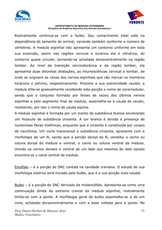 DEPERATAMETO DE MEDICINA VETERINÁRIA
                        Disciplina de Anatomia Descritiva dos Animais Domésticos I


Rostralmente continua-se com o bulbo. Seu comprimento total está na
dependência do tamanho do animal, variando também conforme o número de
vértebras. A medula espinhal não apresenta um contorno uniforme em toda
sua extensão, assim nas regiões cervical e torácica ela é cilíndrica, do
contorno quase circular, tornando-se achatada dorsoventralmente na região
lombar. Ao nível da transição cervicotorácica e da região lombar, ela
apresenta duas discretas dilatações, as intumescências cervical e lombar, de
onde se originam as raízes dos nervos espinhais que vão inervar os membros
torácicos e pelvino, respectivamente. Próximo a sua extremidade caudal, a
medula afila-se gradualmente recebendo esta porção o nome de conemedular,
sendo que o conjunto formado por feixes de raízes dos últimos nervos
espinhas e pelo segmento final da medula, assemelha-se à cauda de cavalo,
recebendo, por isto o nome de cauda eqüina.
A medula espinhal é formada por um manto de substância branca envolvendo
um músculo de substância cinzenta. A cor branca é devida a presença de
numerosas fibras mielínicas, enquanto que a cinzenta é constituída por corpos
de neurônios. Um corte transversal a substância cinzenta, apresenta com a
morfologia de um N, sendo que a porção dorsal do N, constitui o corno ou
coluna dorsal da medula a ventral, o corno ou coluna ventral da medula.
Unindo os cornos dorsais e ventral de um lado aos mesmos do lado oposto
encontra-se o canal central da medula.


Encéfalo – é a porção do SNC contida na cavidade craniana. O estudo de sua
morfologia externa será iniciado pelo bulbo, que é a sua porção mais caudal.


Bulbo – é a porção do SNC derivado da miolencéfalo. Apresenta-se como uma
continuação direta do extremo cranial da medula espinhal, rostralmente
limita-se com a ponte. A morfologia geral do bulbo assemelha-se a de um
cone, achatado dorsoventralmente e com a base voltada para a ponte. No

Prof. Daniel Herbert de Menezes Alves                                                71
Medico Veterinário
 