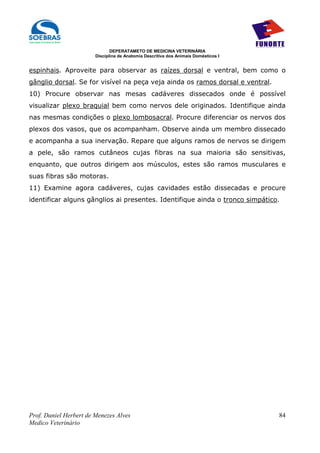 DEPERATAMETO DE MEDICINA VETERINÁRIA
                        Disciplina de Anatomia Descritiva dos Animais Domésticos I


espinhais. Aproveite para observar as raízes dorsal e ventral, bem como o
gânglio dorsal. Se for visível na peça veja ainda os ramos dorsal e ventral.
10) Procure observar nas mesas cadáveres dissecados onde é possível
visualizar plexo braquial bem como nervos dele originados. Identifique ainda
nas mesmas condições o plexo lombosacral. Procure diferenciar os nervos dos
plexos dos vasos, que os acompanham. Observe ainda um membro dissecado
e acompanha a sua inervação. Repare que alguns ramos de nervos se dirigem
a pele, são ramos cutâneos cujas fibras na sua maioria são sensitivas,
enquanto, que outros dirigem aos músculos, estes são ramos musculares e
suas fibras são motoras.
11) Examine agora cadáveres, cujas cavidades estão dissecadas e procure
identificar alguns gânglios ai presentes. Identifique ainda o tronco simpático.




Prof. Daniel Herbert de Menezes Alves                                                84
Medico Veterinário
 