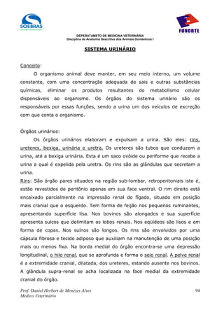 DEPERATAMETO DE MEDICINA VETERINÁRIA
                         Disciplina de Anatomia Descritiva dos Animais Domésticos I


                                    SISTEMA URINÁRIO


Conceito:
         O organismo animal deve manter, em seu meio interno, um volume
constante, com uma concentração adequada de sais e outras substâncias
químicas,     eliminar      os     produtos         resultantes          do     metabolismo       celular
dispensáveis     ao    organismo.          Os      órgãos       do     sistema        urinário   são   os
responsáveis por essas funções, sendo a urina um dos veículos de excreção
com que conta o organismo.


Órgãos urinários:
         Os órgãos urinários elaboram e expulsam a urina. São eles: rins,
ureteres, bexiga, urinária e uretra. Os ureteres são tubos que conduzem a
urina, até a bexiga urinária. Esta é um saco ovóide ou periforme que recebe a
urina a qual é expelida pela uretra. Os rins são as glândulas que secretam a
urina.
Rins: São órgão pares situados na região sub-lombar, retroperitoniais isto é,
estão revestidos de peritônio apenas em sua face ventral. O rim direito está
encaixado parcialmente na impressão renal do fígado, situado em posição
mais cranial que o esquerdo. Tem forma de feijão nos pequenos ruminantes,
apresentando superfície lisa. Nos bovinos são alongados e sua superfície
apresenta sulcos que delimitam os lobos renais. Nos eqüídeos são lisos e em
forma de copas. Nos suínos são longos. Os rins são envolvidos por uma
cápsula fibrosa e tecido adiposo que auxiliam na manutenção de uma posição
mais ou menos fixa. Na borda medial do órgão encontra-se uma depressão
longitudinal, o hilo renal, que se aprofunda e forma o seio renal. A pelve renal
é a extremidade cranial, dilatada, dos ureteres, estando ausente nos bovinos.
A glândula supra-renal se acha localizada na face medial da extremidade
cranial do órgão.

Prof. Daniel Herbert de Menezes Alves                                                                  94
Medico Veterinário
 