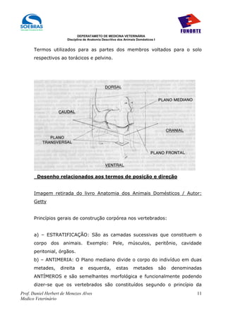 DEPERATAMETO DE MEDICINA VETERINÁRIA
                        Disciplina de Anatomia Descritiva dos Animais Domésticos I


      Termos utilizados para as partes dos membros voltados para o solo
      respectivos ao torácicos e pelvino.




        Desenho relacionados aos termos de posição e direção


      Imagem retirada do livro Anatomia dos Animais Domésticos / Autor:
      Getty


      Princípios gerais de construção corpórea nos vertebrados:


      a) – ESTRATIFICAÇÃO: São as camadas sucessivas que constituem o
      corpo dos animais. Exemplo: Pele, músculos, peritônio, cavidade
      peritonial, órgãos.
      b) – ANTIMERIA: O Plano mediano divide o corpo do indivíduo em duas
      metades,      direita     e    esquerda,          estas      metades           são   denominadas
      ANTÍMEROS e são semelhantes morfológica e funcionalmente podendo
      dizer-se que os vertebrados são constituídos segundo o princípio da
Prof. Daniel Herbert de Menezes Alves                                                               11
Medico Veterinário
 