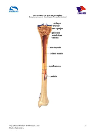 DEPERATAMETO DE MEDICINA VETERINÁRIA
                        Disciplina de Anatomia Descritiva dos Animais Domésticos I




Prof. Daniel Herbert de Menezes Alves                                                21
Medico Veterinário
 