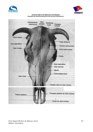 DEPERATAMETO DE MEDICINA VETERINÁRIA
                        Disciplina de Anatomia Descritiva dos Animais Domésticos I




Prof. Daniel Herbert de Menezes Alves                                                22
Medico Veterinário
 