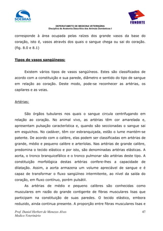 DEPERATAMETO DE MEDICINA VETERINÁRIA
                        Disciplina de Anatomia Descritiva dos Animais Domésticos I


corresponde à área ocupada pelas raízes dos grande vasos da base do
coração, isto é, vasos através dos quais o sangue chega ou sai do coração.
(fig. 8.0 e 8.1)


Tipos de vasos sangüíneos:


      Existem vários tipos de vasos sangüíneos. Estes são classificados de
acordo com a constituição e sua parede, diâmetro e sentido do tipo de sangue
em relação ao coração. Deste modo, pode-se reconhecer as artérias, os
capilares e as veias.


Artérias:


      São órgãos tubulares nos quais o sangue circula centrifugando em
relação ao coração. No animal vivo, as artérias têm cor amarelada e,
apresentam pulsação característica e, quando são seccionadas o sangue sai
em esguichos. No cadáver, têm cor esbranquiçada, estão o lume mantém-se
patente. De acordo com o calibre, elas podem ser classificadas em artérias de
grande, médio e pequeno calibre e arteríolas. Nas artérias de grande calibre,
predomina o tecido elástico e por isto, são denominadas artérias elásticas. A
aorta, o tronco branquicefálico e o tronco pulmonar são artérias deste tipo. A
constituição    morfológica       destas       artérias       confere-lhes           a   capacidade   de
dilatação. Assim, a aorta armazena um volume apreciável de sangue e é
capaz de transformar o fluxo sangüíneo intermitente, ao nível da saída do
coração, em fluxo contínuo, porém pulsátil.
      As artérias de médio e pequeno calibres são conhecidas como
musculares em razão do grande contigente de fibras musculares lisas que
participam na constituição de suas paredes. O tecido elástico, embora
reduzido, ainda continua presente. A proporção entre fibras musculares lisas e

Prof. Daniel Herbert de Menezes Alves                                                                 47
Medico Veterinário
 