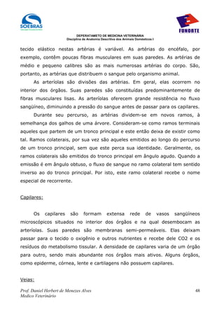 DEPERATAMETO DE MEDICINA VETERINÁRIA
                         Disciplina de Anatomia Descritiva dos Animais Domésticos I


tecido elástico nestas artérias é variável. As artérias do encéfalo, por
exemplo, contêm poucas fibras musculares em suas paredes. As artérias de
médio e pequeno calibres são as mais numerosas artérias do corpo. São,
portanto, as artérias que distribuem o sangue pelo organismo animal.
      As arteríolas são divisões das artérias. Em geral, elas ocorrem no
interior dos órgãos. Suas paredes são constituídas predominantemente de
fibras musculares lisas. As arteríolas oferecem grande resistência no fluxo
sangüíneo, diminuindo a pressão do sangue antes de passar para os capilares.
      Durante seu percurso, as artérias dividem-se em novos ramos, à
semelhança dos galhos de uma árvore. Consideram-se como ramos terminais
aqueles que partem de um tronco principal e este então deixa de existir como
tal. Ramos colaterais, por sua vez são aqueles emitidos ao longo do percurso
de um tronco principal, sem que este perca sua identidade. Geralmente, os
ramos colaterais são emitidos do tronco principal em ângulo agudo. Quando a
emissão é em ângulo obtuso, o fluxo de sangue no ramo colateral tem sentido
inverso ao do tronco principal. Por isto, este ramo colateral recebe o nome
especial de recorrente.


Capilares:


      Os     capilares     são      formam         extensa         rede      de       vasos   sangüíneos
microscópicos situados no interior dos órgãos e na qual desembocam as
arteríolas. Suas paredes são membranas semi-permeáveis. Elas deixam
passar para o tecido o oxigênio e outros nutrientes e recebe dele CO2 e os
resíduos do metabolismo tissular. A densidade de capilares varia de um órgão
para outro, sendo mais abundante nos órgãos mais ativos. Alguns órgãos,
como epiderme, córnea, lente e cartilagens não possuem capilares.


Veias:

Prof. Daniel Herbert de Menezes Alves                                                                 48
Medico Veterinário
 