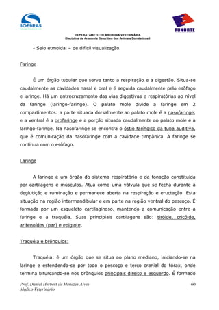DEPERATAMETO DE MEDICINA VETERINÁRIA
                        Disciplina de Anatomia Descritiva dos Animais Domésticos I


      - Seio etmoidal – de difícil visualização.


Faringe


      É um órgão tubular que serve tanto a respiração e a digestão. Situa-se
caudalmente as cavidades nasal e oral e é seguida caudalmente pelo esôfago
e laringe. Há um entrecruzamento das vias digestivas e respiratórias ao nível
da   faringe    (laringo-faringe).         O    palato       mole       divide       a   faringe   em   2
compartimentos: a parte situada dorsalmente ao palato mole é a nasofaringe,
e a ventral é a orofaringe e a porção situada caudalmente ao palato mole é a
laringo-faringe. Na nasofaringe se encontra o óstio faríngico da tuba auditiva,
que é comunicação da nasofaringe com a cavidade timpânica. A faringe se
continua com o esôfago.


Laringe


      A laringe é um órgão do sistema respiratório e da fonação constituída
por cartilagens e músculos. Atua como uma válvula que se fecha durante a
deglutição e ruminação e permanece aberta na respiração e eructação. Esta
situação na região intermandibular e em parte na região ventral do pescoço. É
formada por um esqueleto cartilaginoso, mantendo a comunicação entre a
faringe e a traquéia. Suas principiais cartilagens são: tiróide, cricóide,
aritenoídes (par) e epiglote.


Traquéia e brônquios:


      Traquéia: é um órgão que se situa ao plano mediano, iniciando-se na
laringe e estendendo-se por todo o pescoço e terço cranial do tórax, onde
termina bifurcando-se nos brônquios principais direito e esquerdo. É formado

Prof. Daniel Herbert de Menezes Alves                                                                   60
Medico Veterinário
 