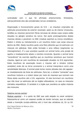 DEPERATAMETO DE MEDICINA VETERINÁRIA
                        Disciplina de Anatomia Descritiva dos Animais Domésticos I


contradição      com     o      que       foi     afirmado          anteriormente.   Entretanto,
estruturalmente eles são considerados nervos verdadeiros.


Organização e funcionamento gerais do S.N – os impulsos originados de
estímulos provenientes do exterior (exemplo: pele) ou do interior (músculos,
tendões ou vísceras) percorrem fibras nervosas de células cujos corpos estão
situados no gânglio sensitivo do nervo. Daí parte prolongamentos destas
mesmas células e penetram no SNC (medula espinhal ou tronco encefálico).
Podem ir direta ou indiretamente a um neurônio motor cujo corpo situa-se
dentro do SNC. Neste neurônio parte uma fibra eferente que irá estimular um
músculo em glândula. Está então formado o arco reflexo (segmentar ou
intersegmentar). É o que acontece quando um animal toma uma picada de
agulha e imediatamente afasta o membro envolvido. Quando o animal toma
“consciência” do ocorrido significa que os neurônios sensitivos que tiveram
impulso, ligam-se com neurônios de associação situados no S.N segmentar.
Estes neurônios de associação levam o impulso até o cérebro (córtex
cerebelar) onde ele se torna consciente e o animal interpreta-o como uma
sensibilidade dolorosa. O animal pode tomar outras atitudes tais côo agastar-
se imediatamente da fonte de estímulos. Para tal, o cérebro “comanda” seus
neurônios motores e a ordem desse por meio de impulsos que ocorrem nas
fibras deste neurônio até o S.N. segmentar. Aí elas terminam em neurônios
que irão levar os estímulos até os órgãos efetuadores, no caso os músculos
estriados esqueléticos. O cerebelo é o órgão que coordena as ações motoras
dos músculos.


Sistema nervos central:
Medula espinhal – é a parte do SNC que está alojada no canal vertebral.
Representa-se como um espesso cordão de tecido nervoso, que se estende
desde a transição occipto-atlântica até o nível das vértebras L6, S1 ou S2.

Prof. Daniel Herbert de Menezes Alves                                                         70
Medico Veterinário
 
