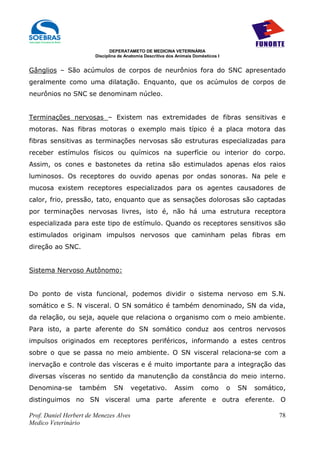 DEPERATAMETO DE MEDICINA VETERINÁRIA
                        Disciplina de Anatomia Descritiva dos Animais Domésticos I


Gânglios – São acúmulos de corpos de neurônios fora do SNC apresentado
geralmente como uma dilatação. Enquanto, que os acúmulos de corpos de
neurônios no SNC se denominam núcleo.


Terminações nervosas – Existem nas extremidades de fibras sensitivas e
motoras. Nas fibras motoras o exemplo mais típico é a placa motora das
fibras sensitivas as terminações nervosas são estruturas especializadas para
receber estímulos físicos ou químicos na superfície ou interior do corpo.
Assim, os cones e bastonetes da retina são estimulados apenas elos raios
luminosos. Os receptores do ouvido apenas por ondas sonoras. Na pele e
mucosa existem receptores especializados para os agentes causadores de
calor, frio, pressão, tato, enquanto que as sensações dolorosas são captadas
por terminações nervosas livres, isto é, não há uma estrutura receptora
especializada para este tipo de estímulo. Quando os receptores sensitivos são
estimulados originam impulsos nervosos que caminham pelas fibras em
direção ao SNC.


Sistema Nervoso Autônomo:


Do ponto de vista funcional, podemos dividir o sistema nervoso em S.N.
somático e S. N visceral. O SN somático é também denominado, SN da vida,
da relação, ou seja, aquele que relaciona o organismo com o meio ambiente.
Para isto, a parte aferente do SN somático conduz aos centros nervosos
impulsos originados em receptores periféricos, informando a estes centros
sobre o que se passa no meio ambiente. O SN visceral relaciona-se com a
inervação e controle das vísceras e é muito importante para a integração das
diversas vísceras no sentido da manutenção da constância do meio interno.
Denomina-se       também        SN      vegetativo.          Assim       como        o   SN   somático,
distinguimos no SN visceral uma parte aferente e outra eferente. O

Prof. Daniel Herbert de Menezes Alves                                                                78
Medico Veterinário
 