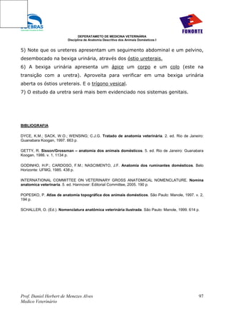 DEPERATAMETO DE MEDICINA VETERINÁRIA
                         Disciplina de Anatomia Descritiva dos Animais Domésticos I


5) Note que os ureteres apresentam um seguimento abdominal e um pelvino,
desembocado na bexiga urinária, através dos óstio ureterais.
6) A bexiga urinária apresenta um ápice um corpo e um colo (este na
transição com a uretra). Aproveita para verificar em uma bexiga urinária
aberta os óstios ureterais. E o trígono vesical.
7) O estudo da uretra será mais bem evidenciado nos sistemas genitais.




BIBLIOGRAFIA

DYCE, K.M.; SACK, W.O.; WENSING; C.J.G. Tratado de anatomia veterinária. 2. ed. Rio de Janeiro:
Guanabara Koogan, 1997. 663 p.

GETTY, R. Sisson/Grossman – anatomia dos animais domésticos. 5. ed. Rio de Janeiro: Guanabara
Koogan, 1986. v. 1, 1134 p.

GODINHO, H.P.; CARDOSO, F.M.; NASCIMENTO, J.F. Anatomia dos ruminantes domésticos. Belo
Horizonte: UFMG, 1985. 438 p.

INTERNATIONAL COMMITTEE ON VETERINARY GROSS ANATOMICAL NOMENCLATURE. Nomina
anatomica veterinaria. 5. ed. Hannover: Editorial Committee, 2005. 190 p.

POPESKO, P. Atlas de anatomia topográfica dos animais domésticos. São Paulo: Manole, 1997. v. 2,
194 p.

SCHALLER, O. (Ed.). Nomenclatura anatômica veterinária ilustrada. São Paulo: Manole, 1999. 614 p.




Prof. Daniel Herbert de Menezes Alves                                                           97
Medico Veterinário
 