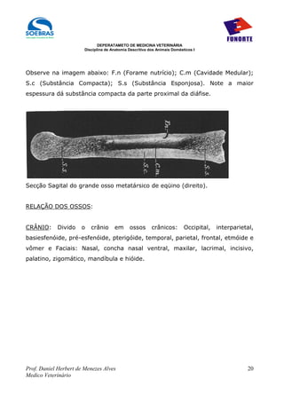 DEPERATAMETO DE MEDICINA VETERINÁRIA
                        Disciplina de Anatomia Descritiva dos Animais Domésticos I




Observe na imagem abaixo: F.n (Forame nutrício); C.m (Cavidade Medular);
S.c (Substância Compacta); S.s (Substância Esponjosa). Note a maior
espessura dá substância compacta da parte proximal da diáfise.




Secção Sagital do grande osso metatársico de eqüino (direito).


RELAÇÃO DOS OSSOS:


CRÂNIO:      Divido   o    crânio      em      ossos       crânicos:        Occipital,   interparietal,
basiesfenóide, pré-esfenóide, pterigóide, temporal, parietal, frontal, etmóide e
vômer e Faciais: Nasal, concha nasal ventral, maxilar, lacrimal, incisivo,
palatino, zigomático, mandíbula e hióide.




Prof. Daniel Herbert de Menezes Alves                                                               20
Medico Veterinário
 