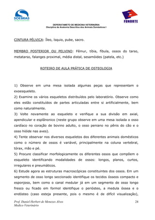 DEPERATAMETO DE MEDICINA VETERINÁRIA
                        Disciplina de Anatomia Descritiva dos Animais Domésticos I




CINTURA PÉLVICA: Íleo, ísquio, pube, sacro.


MEMBRO POSTERIOR OU PELVINO: Fêmur, tíbia, fíbula, ossos do tarso,
metatarso, falanges proximal, média distal, sesamóides (patela, etc.)


                   ROTEIRO DE AULA PRÁTICA DE OSTEOLOGIA




1) Observe em uma mesa isolada algumas peças que representam o
exoesqueleto.
2) Examine os vários esqueletos distribuídos pelo laboratório. Observe como
eles estão constituídos de partes articuladas entre si artificialmente, bem
como naturalmente.
3) Volte novamente ao esqueleto e verifique a sua divisão em axial,
apendicular e esplânonico (neste grupo observe em uma mesa isolada o osso
cardíaco no coração de bovino adulto, o osso peniano no pênis do cão e o
osso hióide nas aves).
4) Tente observar nos diversos esqueletos dos diferentes animais domésticos
como o número de ossos é variável, principalmente na coluna vertebral,
tórax, mão e pé.
5) Procure classificar morfologicamente os diferentes ossos que compõem o
esqueleto    identificando      modalidades de               ossos: longos, planos,   curtos,
irregulares e pneumáticos.
6) Estude agora as estruturas macroscópicas constituintes dos ossos. Em um
segmento de osso longo seccionado identifique os tecidos ósseos compacto e
esponjoso, bem como o canal medular já em um segmento de osso longo
fresco ou ficado em formol identifique o periósteo, a medula óssea e o
endósteo (caso esteja presente, pois o mesmo é de difícil visualização),

Prof. Daniel Herbert de Menezes Alves                                                      24
Medico Veterinário
 