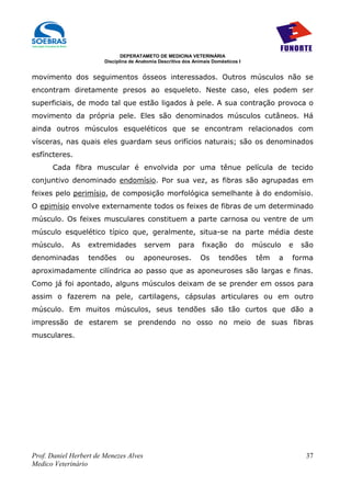DEPERATAMETO DE MEDICINA VETERINÁRIA
                        Disciplina de Anatomia Descritiva dos Animais Domésticos I


movimento dos seguimentos ósseos interessados. Outros músculos não se
encontram diretamente presos ao esqueleto. Neste caso, eles podem ser
superficiais, de modo tal que estão ligados à pele. A sua contração provoca o
movimento da própria pele. Eles são denominados músculos cutâneos. Há
ainda outros músculos esqueléticos que se encontram relacionados com
vísceras, nas quais eles guardam seus orifícios naturais; são os denominados
esfíncteres.
      Cada fibra muscular é envolvida por uma tênue película de tecido
conjuntivo denominado endomísio. Por sua vez, as fibras são agrupadas em
feixes pelo perimísio, de composição morfológica semelhante à do endomísio.
O epimísio envolve externamente todos os feixes de fibras de um determinado
músculo. Os feixes musculares constituem a parte carnosa ou ventre de um
músculo esquelético típico que, geralmente, situa-se na parte média deste
músculo.     As   extremidades          servem         para      fixação       do    músculo    e   são
denominadas       tendões       ou      aponeuroses.            Os      tendões       têm   a   forma
aproximadamente cilíndrica ao passo que as aponeuroses são largas e finas.
Como já foi apontado, alguns músculos deixam de se prender em ossos para
assim o fazerem na pele, cartilagens, cápsulas articulares ou em outro
músculo. Em muitos músculos, seus tendões são tão curtos que dão a
impressão de estarem se prendendo no osso no meio de suas fibras
musculares.




Prof. Daniel Herbert de Menezes Alves                                                                37
Medico Veterinário
 