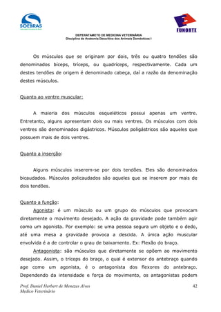 DEPERATAMETO DE MEDICINA VETERINÁRIA
                        Disciplina de Anatomia Descritiva dos Animais Domésticos I




      Os músculos que se originam por dois, três ou quatro tendões são
denominados bíceps, tríceps, ou quadríceps, respectivamente. Cada um
destes tendões de origem é denominado cabeça, daí a razão da denominação
destes músculos.


Quanto ao ventre muscular:


      A maioria dos músculos esqueléticos possui apenas um ventre.
Entretanto, alguns apresentam dois ou mais ventres. Os músculos com dois
ventres são denominados digástricos. Músculos poligástricos são aqueles que
possuem mais de dois ventres.


Quanto a inserção:


      Alguns músculos inserem-se por dois tendões. Eles são denominados
bicaudados. Músculos policaudados são aqueles que se inserem por mais de
dois tendões.


Quanto a função:
      Agonista: é um músculo ou um grupo do músculos que provocam
diretamente o movimento desejado. A ação da gravidade pode também agir
como um agonista. Por exemplo: se uma pessoa segura um objeto e o dedo,
até uma mesa a gravidade provoca a descida. A única ação muscular
envolvida é a de controlar o grau de baixamento. Ex: Flexão do braço.
      Antagonista: são músculos que diretamente se opõem ao movimento
desejado. Assim, o tríceps do braço, o qual é extensor do antebraço quando
age como um agonista, é o antagonista dos flexores do antebraço.
Dependendo da intensidade e força do movimento, os antagonistas podem

Prof. Daniel Herbert de Menezes Alves                                                42
Medico Veterinário
 