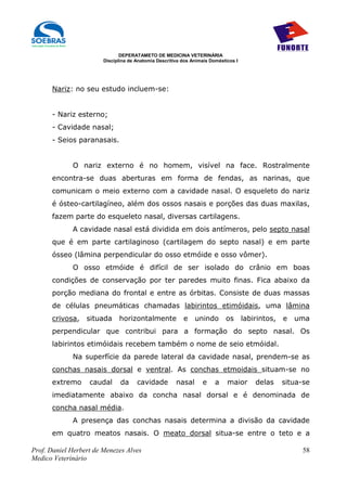 DEPERATAMETO DE MEDICINA VETERINÁRIA
                        Disciplina de Anatomia Descritiva dos Animais Domésticos I




      Nariz: no seu estudo incluem-se:


      - Nariz esterno;
      - Cavidade nasal;
      - Seios paranasais.


             O nariz externo é no homem, visível na face. Rostralmente
      encontra-se duas aberturas em forma de fendas, as narinas, que
      comunicam o meio externo com a cavidade nasal. O esqueleto do nariz
      é ósteo-cartilagíneo, além dos ossos nasais e porções das duas maxilas,
      fazem parte do esqueleto nasal, diversas cartilagens.
             A cavidade nasal está dividida em dois antímeros, pelo septo nasal
      que é em parte cartilaginoso (cartilagem do septo nasal) e em parte
      ósseo (lâmina perpendicular do osso etmóide e osso vômer).
             O osso etmóide é difícil de ser isolado do crânio em boas
      condições de conservação por ter paredes muito finas. Fica abaixo da
      porção mediana do frontal e entre as órbitas. Consiste de duas massas
      de células pneumáticas chamadas labirintos etimóidais, uma lâmina
      crivosa,    situada     horizontalmente             e    unindo       os       labirintos,   e   uma
      perpendicular que contribui para a formação do septo nasal. Os
      labirintos etimóidais recebem também o nome de seio etmóidal.
             Na superfície da parede lateral da cavidade nasal, prendem-se as
      conchas nasais dorsal e ventral. As conchas etmoidais situam-se no
      extremo      caudal      da     cavidade         nasal      e     a    maior       delas     situa-se
      imediatamente abaixo da concha nasal dorsal e é denominada de
      concha nasal média.
             A presença das conchas nasais determina a divisão da cavidade
      em quatro meatos nasais. O meato dorsal situa-se entre o teto e a

Prof. Daniel Herbert de Menezes Alves                                                                   58
Medico Veterinário
 