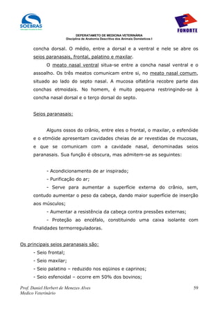 DEPERATAMETO DE MEDICINA VETERINÁRIA
                        Disciplina de Anatomia Descritiva dos Animais Domésticos I


      concha dorsal. O médio, entre a dorsal e a ventral e nele se abre os
      seios paranasais, frontal, palatino e maxilar.
             O meato nasal ventral situa-se entre a concha nasal ventral e o
      assoalho. Os três meatos comunicam entre si, no meato nasal comum,
      situado ao lado do septo nasal. A mucosa olfatória recobre parte das
      conchas etmoidais. No homem, é muito pequena restringindo-se à
      concha nasal dorsal e o terço dorsal do septo.


      Seios paranasais:


             Alguns ossos do crânio, entre eles o frontal, o maxilar, o esfenóide
      e o etmóide apresentam cavidades cheias de ar revestidas de mucosas,
      e que se comunicam com a cavidade nasal, denominadas seios
      paranasais. Sua função é obscura, mas admitem-se as seguintes:


             - Acondicionamento de ar inspirado;
             - Purificação do ar;
             - Serve para aumentar a superfície externa do crânio, sem,
      contudo aumentar o peso da cabeça, dando maior superfície de inserção
      aos músculos;
             - Aumentar a resistência da cabeça contra pressões externas;
             - Proteção ao encéfalo, constituindo uma caixa isolante com
      finalidades termorreguladoras.


Os principais seios paranasais são:
      - Seio frontal;
      - Seio maxilar;
      - Seio palatino – reduzido nos eqüinos e caprinos;
      - Seio esfenoidal – ocorre em 50% dos bovinos;

Prof. Daniel Herbert de Menezes Alves                                                59
Medico Veterinário
 