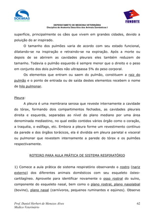 DEPERATAMETO DE MEDICINA VETERINÁRIA
                        Disciplina de Anatomia Descritiva dos Animais Domésticos I


superfície, principalmente os cães que vivem em grandes cidades, devido a
poluição do ar inspirado.
      O tamanho dos pulmões varia de acordo com seu estado funcional,
dilatando-se na inspiração e retraindo-se na expiração. Após a morte ou
depois de se abrirem as cavidades pleurais eles também reduzem de
tamanho. Todavia o pulmão esquerdo é sempre menor que o direito e o peso
em conjunto dos dois pulmões não ultrapassa 5% do peso corporal.
      Os elementos que entram ou saem do pulmão, constituem a raiz do
pulmão e o ponto de entrada ou de saída destes elementos recebem o nome
de hilo pulmonar.


Pleura:
      A pleura é uma membrana serosa que reveste internamente a cavidade
do tórax, formando dois compartimentos fechados, as cavidades pleurais
direita e esquerda, separadas ao nível do plano mediano por uma área
denominada mediastino, no qual estão contidos vários órgão como o coração,
a traquéia, o esôfago, etc. Embora a pleura forme um revestimento contínuo
da parede e dos órgãos torácicos, ela é dividida em pleura parietal e visceral
ou pulmonar que revestem internamente a parede do tórax e os pulmões
respectivamente.


           ROTEIRO PARA AULA PRÁTICA DE SISTEMA RESPIRATÓRIO


1) Comece a aula prática de sistema respiratório observando o rostro (nariz
externo) dos diferentes animais domésticos com seu esqueleto ósteo-
cartilagíneo. Aproveite para identificar novamente o osso rostral do suíno,
componente do esqueleto nasal, bem como o plano rostral, plano nasolabial
(bovino), plano nasal (carnívoros, pequenos ruminantes e eqüinos). Observe



Prof. Daniel Herbert de Menezes Alves                                                62
Medico Veterinário
 