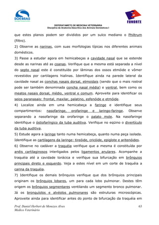 DEPERATAMETO DE MEDICINA VETERINÁRIA
                        Disciplina de Anatomia Descritiva dos Animais Domésticos I


que estes planos podem ser divididos por um sulco mediano o Philtrum
(filtro).
2) Observe as narinas, com suas morfologias típicas nos diferentes animais
domésticos.
3) Passe a estudar agora em hemicabeças a cavidade nasal que se estende
desde as narinas até as coanas. Verifique que a mesma está separada a nível
do septo nasal este é constituído por lâminas dos ossos etmóide e vômer
revestidos por cartilagens hialinas. Identifique ainda na parede lateral da
cavidade nasal as conchas nasais dorsal, etmoidais (sendo que o mais rostral
pode ser também denominada concha nasal média) e ventral, bem como os
meatos nasais dorsal, médio, ventral e comum. Aproveite para identificar os
seios paranasais: frontal, maxilar, palatino, esfenóide e etmóide.
4) Localize     ainda    em uma           hemicabeça           a       faringe       e   identifique   seus
compartimentos:         nasofaringe,          orofaringe           e     laringo-faringe.         Observe
separando a nasofaringe da orofaringe o palato mole. Na nasofaringe
identifique o óstiofaríngico da tuba auditiva. Verifique no eqüino o divertículo
da tuba auditiva.
5) Estude agora a laringe tanto numa hemicabeça, quanto numa peça isolada.
Identifique as cartilagens da laringe: tireóide, cricóide, epiglote e aritenóides.
6) Observe no cadáver a traquéia verifique que a mesma é constituída por
anéis cartilaginosos interligados pelos ligamentos anulares. Acompanhe a
traquéia até a cavidade torácica e verifique sua bifurcação em brônquios
principais direto e esquerdo. Veja a estes nível em um corte de traquéia a
carina da traquéia.
7) Identifique os demais brônquios verifique que dos brônquios principais
originam os brônquios lobares, um para cada lobo pulmonar. Destes têm
origem os brônquios segmentares ventilando um segmento bronco pulmonar.
Já os bronquíolos e alvéolos pulmonares são estruturas microscópicas.
Aproveite ainda para identificar antes do ponto de bifurcação da traquéia em

Prof. Daniel Herbert de Menezes Alves                                                                    63
Medico Veterinário
 