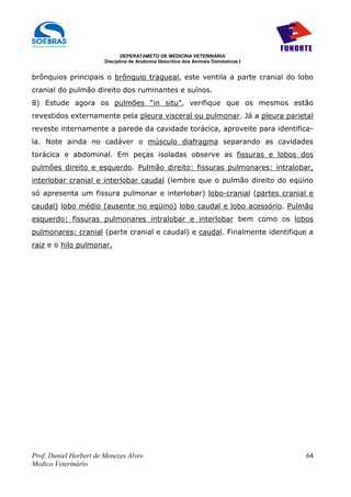 DEPERATAMETO DE MEDICINA VETERINÁRIA
                        Disciplina de Anatomia Descritiva dos Animais Domésticos I


brônquios principais o brônquio traqueal, este ventila a parte cranial do lobo
cranial do pulmão direito dos ruminantes e suínos.
8) Estude agora os pulmões “in situ”, verifique que os mesmos estão
revestidos externamente pela pleura visceral ou pulmonar. Já a pleura parietal
reveste internamente a parede da cavidade torácica, aproveite para identifica-
la. Note ainda no cadáver o músculo diafragma separando as cavidades
torácica e abdominal. Em peças isoladas observe as fissuras e lobos dos
pulmões direito e esquerdo. Pulmão direito: fissuras pulmonares: intralobar,
interlobar cranial e interlobar caudal (lembre que o pulmão direito do eqüino
só apresenta um fissura pulmonar e interlobar) lobo-cranial (partes cranial e
caudal) lobo médio (ausente no eqüino) lobo caudal e lobo acessório. Pulmão
esquerdo: fissuras pulmonares intralobar e interlobar bem como os lobos
pulmonares: cranial (parte cranial e caudal) e caudal. Finalmente identifique a
raiz e o hilo pulmonar.




Prof. Daniel Herbert de Menezes Alves                                                64
Medico Veterinário
 