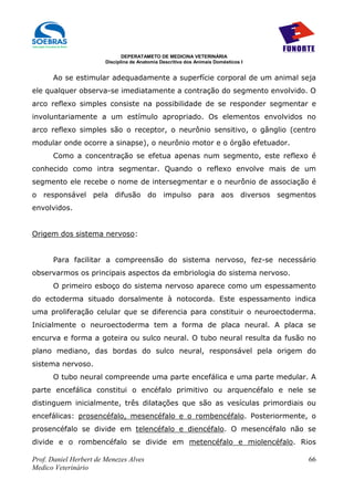 DEPERATAMETO DE MEDICINA VETERINÁRIA
                        Disciplina de Anatomia Descritiva dos Animais Domésticos I


      Ao se estimular adequadamente a superfície corporal de um animal seja
ele qualquer observa-se imediatamente a contração do segmento envolvido. O
arco reflexo simples consiste na possibilidade de se responder segmentar e
involuntariamente a um estímulo apropriado. Os elementos envolvidos no
arco reflexo simples são o receptor, o neurônio sensitivo, o gânglio (centro
modular onde ocorre a sinapse), o neurônio motor e o órgão efetuador.
      Como a concentração se efetua apenas num segmento, este reflexo é
conhecido como intra segmentar. Quando o reflexo envolve mais de um
segmento ele recebe o nome de intersegmentar e o neurônio de associação é
o responsável pela difusão do impulso para aos diversos segmentos
envolvidos.


Origem dos sistema nervoso:


      Para facilitar a compreensão do sistema nervoso, fez-se necessário
observarmos os principais aspectos da embriologia do sistema nervoso.
      O primeiro esboço do sistema nervoso aparece como um espessamento
do ectoderma situado dorsalmente à notocorda. Este espessamento indica
uma proliferação celular que se diferencia para constituir o neuroectoderma.
Inicialmente o neuroectoderma tem a forma de placa neural. A placa se
encurva e forma a goteira ou sulco neural. O tubo neural resulta da fusão no
plano mediano, das bordas do sulco neural, responsável pela origem do
sistema nervoso.
      O tubo neural compreende uma parte encefálica e uma parte medular. A
parte encefálica constitui o encéfalo primitivo ou arquencéfalo e nele se
distinguem inicialmente, três dilatações que são as vesículas primordiais ou
encefálicas: prosencéfalo, mesencéfalo e o rombencéfalo. Posteriormente, o
prosencéfalo se divide em telencéfalo e diencéfalo. O mesencéfalo não se
divide e o rombencéfalo se divide em metencéfalo e miolencéfalo. Rios

Prof. Daniel Herbert de Menezes Alves                                                66
Medico Veterinário
 