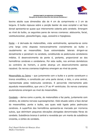 DEPERATAMETO DE MEDICINA VETERINÁRIA
                        Disciplina de Anatomia Descritiva dos Animais Domésticos I


bovino adulto suas dimensões são de 4 cm de comprimento e 3 cm de
largura. O bulbo repousa sobre a porção basilar do osso occipital e sal face
dorsal apresenta-se quase que inteiramente coberta pelo cerebelo. Emergem
ao nível do bulbo, os seguintes pares de nervos cranianos: abducente, facial,
vestibulococlear, glossofaríngeo, vago, acessório e hipoglosso.


Ponte – é derivada do metencéfalo, vista ventralmente, apresenta-se como
uma    larga    cinta   disposta        transversalmente             cranialmente           ao    bulbo   e
caudalmente      ao     mesencéfalo.          Suas       extremidades                laterais    dirigem-se
dorsalmente e penetram no cerebelo, constituindo os pedúnculos cerebelares
médios. O desenvolvimento da ponte é, portanto, proporcional ao dos
hemisférios cerebrais e cerebelares. Por esta razão, nos animais domésticos
ao contrário do homem, a ponte alcança um desenvolvimento apenas
razoável. Os nervos cranianos trigêmios emergem ao nível da ponte.


Mesencéfalo ou Ístmo – que juntamente com o bulbo e a ponte constituem o
tronco encefálico, e constituído por uma parte dorsal, o teto, e uma central,
representada pelas redúnculos cerebrais. E percorrido internamente pelo
aqueduto mesencefálico, que une o 3º ao 4º ventrículos. Os nervos cranianos
aculomotores emergem ao nível do mesencéfalo.


Cerebelo – deriva como a ponte, do metencéfalo e faz parte, juntamente com
cérebro, do sistema nervoso suprasegmentar. Está situado sobre a face dorsal
do mesencéfalo, ponte e bulbo, aos quais está ligado pelos pedinculos
cerebrais. A superfície dos hemisférios apresenta-se marcada por inúmeros
sulcos, que delimitam pequenas elevações alongadas denominadas fibras do
cerebelo. Substância branca é central e revestida por um manto de substância
cinzenta, a córtex do cerebelo.



Prof. Daniel Herbert de Menezes Alves                                                                     72
Medico Veterinário
 