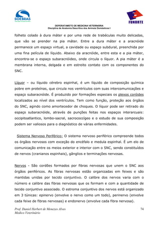DEPERATAMETO DE MEDICINA VETERINÁRIA
                        Disciplina de Anatomia Descritiva dos Animais Domésticos I


folheto colado à dura máter e por uma rede de trabéculas muito delicadas,
que vão se prender na pia máter. Entre a dura máter e a aracnóide
permanece um espaço virtual, a cavidade ou espaço subdural, preenchida por
uma fina película de líquido. Abaixo da aracnóide, entre esta e a pia máter,
encontra-se o espaço subaracnóideo, onde circula o líquor. A pia máter é a
membrana interna, delgada e em estreito contato com os componentes do
SNC.


Líquor – ou líquido cérebro espinhal, é um líquido de composição química
pobre em proteínas, que circula nos ventrículos com suas intercomunicações e
espaço subaracnóide. É produzido por formações especiais os plexos coróides
localizados ao nível dos ventrículos. Tem como função, proteção aos órgãos
do SNC, agindo como amortecedor de choques. O líquor pode ser retirado do
espaço subaracnóide, através de punções feitas nos espaços interarcuais:
occipitoatlantico, lombo-sacral, sacrococcígeo e o estudo de sua composição
podem ser valiosos para o diagnóstico de várias enfermidades.


 Sistema Nervoso Periférico: O sistema nervoso periférico compreende todos
os órgãos nervosos com exceção do encéfalo e medula espinhal. É um elo de
comunicação entre os meios exterior e interior com o SNC, sendo constituídos
de nervos (cranianos espinhais), gânglios e terminações nervosas.


Nervos - São cordões formados por fibras nervosas que unem o SNC aos
órgãos periféricos. As fibras nervosas estão organizadas em feixes e são
mantidas unidas por tecido conjuntivo. O calibre dos nervos varia com o
número e calibre das fibras nervosas que os formam e com a quantidade de
tecido conjuntivo associado. O estroma conjuntivo dos nervos está organizado
em 3 túnicas: epinervo (envolve o nervo como um todo), perinervo (envolve
cada feixe de fibras nervosas) e endonervo (envolve cada fibra nervosa).

Prof. Daniel Herbert de Menezes Alves                                                74
Medico Veterinário
 