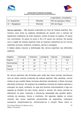 DEPERATAMETO DE MEDICINA VETERINÁRIA
                          Disciplina de Anatomia Descritiva dos Animais Domésticos I


                                                                             respiratório, circulatório.
11- Acessórios                                  Eferente                     Mm do pescoço e tórax
12 – Hipoglosso                                 Eferente                     Mm da língua


Nervos espinhais – São aqueles originados ao nível da medula espinhal. Seu
número varia entre as espécies domésticas de acordo com o número de
segmentos medulares de onde originam, sendo 42 pares no eqüino, 37 pares
nos ruminantes, 33 pares no suíno e 36 a 37 pares nos caninos. De acordo
com a região da medula espinhal onde se originam classificam-se em nervos
espinhais cervicais, torácicos, lombares, sacrais e coccígeos.
A tabela abaixo resume a distribuição dos nervos espinhais nas diferentes
espécies:


Espécie         Cervicais          Torácicos            Lombares             Sacrais        Coccígeos
Eqüino                8                   18                    6                      5        5-6
Ruminantes            8                   13                  5-6                      6         5
Suíno                 8                   14                    7                      4         -
Canino                8                   13                    7                      3        4-7


Os nervos espinhais são formados pela união das raízes dorsais (sensitivos)
com as raízes ventrais (motoras) da medula espinhal. São, portanto, nervos
mistos já que contém fibras nervosas aferentes (sensitivas) e fibras nervosas
eferentes (motoras). Se originam da substância cinzenta da medula espinhal e
emergem do canal, vertebral, ou seja dos forames intervertebrais e logo em
seguida se dividem em dois ramos, dorsal e ventral. Os ramos ventrais se
distribuem na pele, músculos e estruturas associadas das porções látero-
ventrais do pescoço, tronco e membros. Em algumas regiões os ramos
ventrais    dos   nevos        espinhais         provenientes           de     segmentos     medulares
sucessivos anastomosam-se, entrecruzam-se e trocam fibras entre si.
Prof. Daniel Herbert de Menezes Alves                                                                   76
Medico Veterinário
 