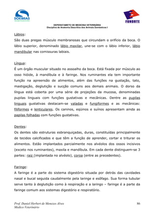 DEPERATAMETO DE MEDICINA VETERINÁRIA
                        Disciplina de Anatomia Descritiva dos Animais Domésticos I


Lábios:
São duas pregas músculo membranosas que circundam o orifício da boca. O
lábio superior, denominado lábio maxilar, une-se com o lábio inferior, lábio
mandibular nas comissuras labiais.


Língua:
É um órgão muscular situado no assoalho da boca. Está fixada por músculo ao
osso hióide, à mandíbula e à faringe. Nos ruminantes ela tem importante
função na apreensão de alimentos, além das funções na gustação, tato,
mastigação, deglutição e sucção comuns aos demais animais. O dorso da
língua está coberta por uma série de projeções da mucosa, denominadas
pupilas linguais com funções gustativas e mecânicas. Dentre as pupilas
linguais gustativas destacam-se valadas e fungiformes e as mecânicas:
filiformes e lenticulares. Os caninos, eqüinos e suínos apresentam ainda as
papilas folhadas com funções gustativas.


Dentes:
Os dentes são estruturas esbranquiçadas, duras, constituídas principalmente
de tecidos calcificados e que têm a função de aprender, cortar e triturar os
alimentos. Estão implantados parcialmente nos alvéolos dos ossos incisivos
(exceto nos ruminantes), maxila e mandíbula. Em cada dente distinguem-se 3
partes: raiz (implantada no alvéolo), coroa (entre as precedentes).


Faringe:
A faringe é a parte do sistema digestório situada por detrás das cavidades
nasal e bucal seguida caudalmente pela laringe e esôfago. Sua forma tubular
serve tanto à deglutição como à respiração e a laringo – faringe é a parte da
faringe comum aos sistemas digestório e respiratório.



Prof. Daniel Herbert de Menezes Alves                                                86
Medico Veterinário
 