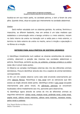 DEPERATAMETO DE MEDICINA VETERINÁRIA
                         Disciplina de Anatomia Descritiva dos Animais Domésticos I


localiza-se em sua maior parte, na cavidade pelvina, e tem a foram de uma
pêra. Quando cheia, situa-se quase que inteiramente na cavidade abdominal.


Uretra:
      Será melhor estudada com os sistemas genitais. As uretras, feminina e
masculina, se diferem bastante, mas em ambos é um tubo mediano que
estabelece a comunicação entre a bexiga urinária e o meio exterior; iniciam
no óstio interno da uretra na transição com a saída para o meio exterior, e
termina no óstio externo da uretra no macho, serve à micção e ejaculação e
na fêmea só a micção.


          ROTEIRO PARA AULA PRÁTICA DE SISTEMA URINÁRIO


1) Identifique inicialmente num cadáver as vísceras constituintes do sistema
urinário, observem a posição das mesmas nas cavidades abdominais e
pelvina. Reconheça, portanto os rins, os ureteres, a bexiga urinária e a uretra
(esta não é visível neste ponto).
2) Observe as variadas morfologias externas dos rins dos diferentes animais
domésticos. Procure identificar através dos rins a espécie de animal doméstico
correspondente.
3) Em um rim isolado observe como este está envolvido externamente por
uma cápsula fibrosa. Reconheça o hilo renal com as estruturas que têm
acesso ao órgão através deste ponto. Identifique ainda o seio renal (ocupado
internamente      pela    pelve      renal).       As    glândulas         adrenais   se   encontram
localizadas crânio-medialmente aos rins, aproveite para observá-las.
4) Identifique agora através de cortes de rins de diferentes animais as
seguintes estruturas: córtex renal, medula renal, pirâmide renal, crista renal,
papila renal, cálices renais menores, cálices ranis maiores, recessos renais,
pelve renal e ureteres.

Prof. Daniel Herbert de Menezes Alves                                                             96
Medico Veterinário
 