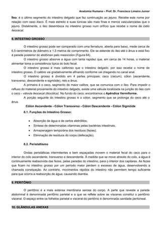 Anatomia Humana – Prof. Dr. Francisco Limeira Junior

Íleo: é o último segmento do intestino delgado que faz continuação ao jejuno. Recebe este nome por
relação com osso ilíaco. É mais estreito e suas túnicas são mais finas e menos vascularizadas que o
jejuno. Distalmente, o íleo desemboca no intestino grosso num orifício que recebe o nome de óstio
ileocecal.

8. INTESTINO GROSSO

          O intestino grosso pode ser comparado com uma ferradura, aberta para baixo, mede cerca de
6,5 centímetros de diâmetro e 1,5 metros de comprimento. Ele se estende do íleo até o ânus e está fixo
à parede posterior do abdômen pelo mesocolon (Figura 64).
          O intestino grosso absorve a água com tanta rapidez que, em cerca de 14 horas, o material
alimentar toma a consistência típica do bolo fecal.
          O intestino grosso é mais calibroso que o intestino delgado, por isso recebe o nome de
intestino grosso. O calibre vai gradativamente afinando conforme vai chegando no canal anal.
          O intestino grosso é dividido em 4 partes principais: ceco (cecum), cólon (ascendente,
transverso, descendente e sigmóide), reto e ânus.
          A primeira é o ceco, segmento de maior calibre, que se comunica com o íleo. Para impedir o
refluxo do material proveniente do intestino delgado, existe uma válvula localizada na junção do íleo com
o ceco - válvula ileocecal (iliocólica). No fundo do ceco, encontramos o Apêndice Vermiforme.
          A porção seguinte do intestino grosso é o cólon, segmento que se prolonga do ceco até o
ânus.
            Cólon Ascendente - Cólon Transverso - Cólon Descendente - Cólon Sigmóide

         8.1. Funções do Intestino Grosso:

            •   Absorção de água e de certos eletrólitos;
            •   Síntese de determinadas vitaminas pelas bactérias intestinais;
            •   Armazenagem temporária dos resíduos (fezes);
            •   Eliminação de resíduos do corpo (defecação).

         8.2. Peristaltismo

          Ondas peristálticas intermitentes e bem espaçadas movem o material fecal do ceco para o
interior do colo ascendente, transverso e descendente. Á medida que se move através do colo, a água é
continuamente reabsorvida das fezes, pelas paredes do intestino, para o interior dos capilares. As fezes
que ficam no intestino grosso por um período maior perdem o excesso de água, desenvolvendo a
chamada constipação. Ao contrário, movimentos rápidos do intestino não permitem tempo suficiente
para que ocorra a reabsorção de água, causando diarréia.

9. PERITÔNIO

          O peritônio é a mais extensa membrana serosa do corpo. A parte que reveste a parede
abdominal é denominada peritônio parietal e a que se reflete sobre as vísceras constitui o peritônio
visceral. O espaço entre os folhetos parietal e visceral do peritônio é denominada cavidade peritoneal.

10. GLÂNDULAS ANEXAS
 