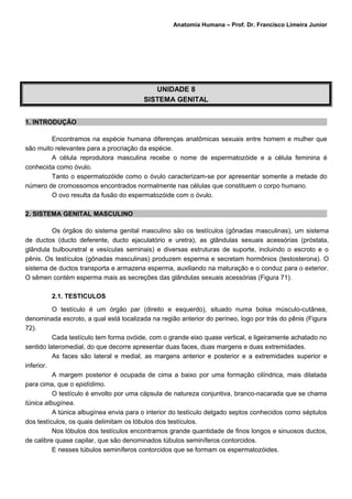 Anatomia Humana – Prof. Dr. Francisco Limeira Junior




                                           UNIDADE 8
                                        SISTEMA GENITAL


1. INTRODUÇÃO

         Encontramos na espécie humana diferenças anatômicas sexuais entre homem e mulher que
são muito relevantes para a procriação da espécie.
         A célula reprodutora masculina recebe o nome de espermatozóide e a célula feminina é
conhecida como óvulo.
         Tanto o espermatozóide como o óvulo caracterizam-se por apresentar somente a metade do
número de cromossomos encontrados normalmente nas células que constituem o corpo humano.
         O ovo resulta da fusão do espermatozóide com o óvulo.

2. SISTEMA GENITAL MASCULINO

         Os órgãos do sistema genital masculino são os testículos (gônadas masculinas), um sistema
de ductos (ducto deferente, ducto ejaculatório e uretra), as glândulas sexuais acessórias (próstata,
glândula bulbouretral e vesículas seminais) e diversas estruturas de suporte, incluindo o escroto e o
pênis. Os testículos (gônadas masculinas) produzem esperma e secretam hormônios (testosterona). O
sistema de ductos transporta e armazena esperma, auxiliando na maturação e o conduz para o exterior.
O sêmen contém esperma mais as secreções das glândulas sexuais acessórias (Figura 71).

         2.1. TESTICULOS

          O testículo é um órgão par (direito e esquerdo), situado numa bolsa músculo-cutânea,
denominada escroto, a qual está localizada na região anterior do períneo, logo por trás do pênis (Figura
72).
          Cada testículo tem forma ovóide, com o grande eixo quase vertical, e ligeiramente achatado no
sentido lateromedial, do que decorre apresentar duas faces, duas margens e duas extremidades.
          As faces são lateral e medial, as margens anterior e posterior e a extremidades superior e
inferior.
          A margem posterior é ocupada de cima a baixo por uma formação cilíndrica, mais dilatada
para cima, que o epidídimo.
          O testículo é envolto por uma cápsula de natureza conjuntiva, branco-nacarada que se chama
túnica albugínea.
          A túnica albugínea envia para o interior do testículo delgado septos conhecidos como séptulos
dos testículos, os quais delimitam os lóbulos dos testículos.
          Nos lóbulos dos testículos encontramos grande quantidade de finos longos e sinuosos ductos,
de calibre quase capilar, que são denominados túbulos seminíferos contorcidos.
          E nesses túbulos seminíferos contorcidos que se formam os espermatozóides.
 