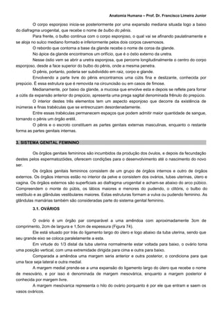 Anatomia Humana – Prof. Dr. Francisco Limeira Junior

          O corpo esponjoso inicia-se posteriormente por uma expansão mediana situada logo a baixo
do diafragma urogenital, que recebe o nome de bulbo do pênis.
          Para frente, o bulbo continua com o corpo esponjoso, o qual vai se afinando paulatinamente e
se aloja no sulco mediano formado e inferiormente pelos dois corpos cavernosos.
          O rebordo que contorna a base da glande recebe o nome de coroa da glande.
          No ápice da glande encontramos um orifício, que é o óstio externo da uretra.
          Nesse óstio vem se abrir a uretra esponjosa, que percorre longitudinalmente o centro do corpo
esponjoso, desde a face superior do bulbo do pênis, onde a mesma penetra.
          O pênis, portanto, poderia ser subdividido em raiz, corpo e glande.
          Envolvendo a parte livre do pênis encontramos uma cútis fina e deslizante, conhecida por
prepúcio. É essa estrutura que é removida na circuncisão ou em casos de fimose.
          Medianamente, por baixo da glande, a mucosa que envolve esta e depois se reflete para forrar
a cútis da expansão anterior do prepúcio, apresenta uma prega sagital denominada frênulo do prepúcio.
          O interior destes três elementos tem um aspecto esponjoso que decorre da existência de
inúmeras e finas trabéculas que se entrecruzam desordenadamente.
          Entre essas trabéculas permanecem espaços que podem admitir maior quantidade de sangue,
tornando o pênis um órgão erétil.
          O pênis e o escroto constituem as partes genitais externas masculinas, enquanto o restante
forma as partes genitais internas.

3. SISTEMA GENITAL FEMININO

         Os órgãos genitais femininos são incumbidos da produção dos óvulos, e depois da fecundação
destes pelos espermatozóides, oferecem condições para o desenvolvimento até o nascimento do novo
ser.
         Os órgãos genitais femininos consistem de um grupo de órgãos internos e outro de órgãos
externos. Os órgãos internos estão no interior da pelve e consistem dos ovários, tubas uterinas, útero e
vagina. Os órgãos externos são superficiais ao diafragma urogenital e acham-se abaixo do arco púbico.
Compreendem o monte do púbis, os lábios maiores e menores do pudendo, o clitóris, o bulbo do
vestíbulo e as glândulas vestibulares maiores. Estas estruturas formam a vulva ou pudendo feminino. As
glândulas mamárias também são consideradas parte do sistema genital feminino.

         3.1. OVÁRIOS

        O ovário é um órgão par comparável a uma amêndoa com aproximadamente 3cm de
comprimento, 2cm de largura e 1,5cm de espessura (Figura 74).
        Ele está situado por trás do ligamento largo do útero e logo abaixo da tuba uterina, sendo que
seu grande eixo se coloca paralelamente a esta.
        Em virtude do 1/3 distal da tuba uterina normalmente estar voltada para baixo, o ovário toma
uma posição vertical, com uma extremidade dirigida para cima e outra para baixo.
        Comparada a amêndoa uma margem seria anterior e outra posterior, o condiciona para que
uma face seja lateral e outra medial.
        A margem medial prende-se a uma expansão do ligamento largo do útero que recebe o nome
de mesovário, e por isso é denominada de margem mesovárica, enquanto a margem posterior é
conhecida por margem livre.
        A margem mesóvarica representa o hilo do ovário porquanto é por ele que entram e saem os
vasos ováricos.
 