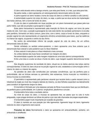 Anatomia Humana – Prof. Dr. Francisco Limeira Junior

           O útero está situado entre a bexiga urinaria, que esta para frente, e o reto, que esta para trás.
           Na parte media, o útero apresenta um estrangulamento denominado istmo do útero.
           A parte superior ao istmo recebe o nome de corpo do útero e a inferior constitui o colo (cérvix).
           A extremidade superior do corpo do útero, ou seja, a parte que se situa acima da implantação
das tubas uterinas, tem o nome de fundo do útero.
           O colo do útero é subdividido em duas porções por um plano transversal que passa pela sua
parte média, que são as porções supravaginal e vaginal.
           Esse plano transversal é representado pela inserção do fórnix da vagina, em torno da parte
media do colo. Com isso, a porção supravaginal do colo está dentro da cavidade peritoneal e é envolta
pelo peritônio, formando um bloco comum, para cima, com o istmo, corpo e fundo do útero, enquanto a
porção vaginal do colo representando um segmento cilíndrico arredondado para baixo, que faz saliência
no interior da vagina, ocupando o centro do seu fórnix.
           No centro da extremidade inferior da porção vaginal do colo do útero, há um orifício
denominado óstio do útero.
           Sendo achatado no sentido antero-posterior, o útero apresenta uma face anterior que é
denominada face vesical e outra posterior que é a face intestinal.
           A face vesical é mais plana e a face intestinal e mais convexa.
           As uniões laterais das duas faces constituem as margens do útero.
           Na extremidade superior de cada margem implanta-se uma tuba uterina correspondente.
           Entre uma tuba e a outra se situa o fundo do útero, cuja margem superior denomina-se borda
superior.
           Nos ângulos superiores da cavidade do útero, situam-se os óstios uterinos das tubas uterina
correspondentes. O óstio do útero situa-se na porção vaginal do colo, estabelece a comunicação entre o
interior do útero e o interior da vagina.
           As paredes do útero são constituídas por camadas concêntricas, que da periferia para a
profundidade, são as túnicas serosas ou perimétrio, tela subserosa, túnica muscular ou miométrio e
túnica mucosa ou endométrio.
           O perimétrio é representado pelo peritoneo visceral que recobre tanto a parte visceral como a
intestinal do órgão ao nível das margens laterais do mesmo, os dois folhetos expandem-se lateralmente
para constituir os ligamentos largos do útero.
           O miométrio é formado por uma espessa camada de fibras musculares lisas que se distribuem,
da periferia para a profundidade, em 3 planos: longitudinal, plexiforme e circular.
           O endométrio forra toda a cavidade uterina.
           Ao nível do corpo do útero, a mucosa se apresenta lisa, ao passo que no colo é muito
pregueada, cujas pregas lembram as folhas de palma e por isso são chamadas de pregas espalmadas.
           O endométrio papel muito importante por ocasião da gravidez.
           O útero é mantido em sua posição por três ligamentos: ligamento largo do útero, ligamento
redondo do útero e ligamento útero-sacral.

        Posições do útero: Normalmente o útero se apresenta em anteversoflexão; portanto, em
anteversão e anteflexão.

         3.4. VAGINA
 