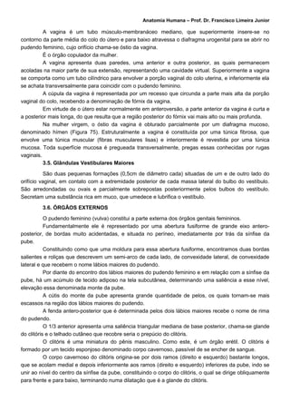 Anatomia Humana – Prof. Dr. Francisco Limeira Junior

          A vagina é um tubo músculo-membranáceo mediano, que superiormente insere-se no
contorno da parte média do colo do útero e para baixo atravessa o diafragma urogenital para se abrir no
pudendo feminino, cujo orifício chama-se óstio da vagina.
          É o órgão copulador da mulher.
          A vagina apresenta duas paredes, uma anterior e outra posterior, as quais permanecem
acoladas na maior parte de sua extensão, representando uma cavidade virtual. Superiormente a vagina
se comporta como um tubo cilíndrico para envolver a porção vaginal do colo uterina, e inferiormente ela
se achata transversalmente para coincidir com o pudendo feminino.
          A cúpula da vagina é representada por um recesso que circunda a parte mais alta da porção
vaginal do colo, recebendo a denominação de fórnix da vagina.
          Em virtude de o útero estar normalmente em anteroversão, a parte anterior da vagina é curta e
a posterior mais longa, do que resulta que a região posterior do fórnix vai mais alto ou mais profunda.
          Na mulher virgem, o óstio da vagina é obturado parcialmente por um diafragma mucoso,
denominado hímen (Figura 75). Estruturalmente a vagina é constituída por uma túnica fibrosa, que
envolve uma túnica muscular (fibras musculares lisas) e interiormente é revestida por uma túnica
mucosa. Toda superfície mucosa é pregueada transversalmente, pregas essas conhecidas por rugas
vaginais.
          3.5. Glândulas Vestibulares Maiores

           São duas pequenas formações (0,5cm de diâmetro cada) situadas de um e de outro lado do
orifício vaginal, em contato com a extremidade posterior de cada massa lateral do bulbo do vestíbulo.
São arredondadas ou ovais e parcialmente sobrepostas posteriormente pelos bulbos do vestíbulo.
Secretam uma substância rica em muco, que umedece e lubrifica o vestíbulo.

         3.6. ÓRGÃOS EXTERNOS

           O pudendo feminino (vulva) constitui a parte externa dos órgãos genitais femininos.
           Fundamentalmente ele é representado por uma abertura fusiforme de grande eixo antero-
posterior, de bordas muito acidentadas, e situada no períneo, imediatamente por trás da sínfise da
pube.
           Constituindo como que uma moldura para essa abertura fusiforme, encontramos duas bordas
salientes e roliças que descrevem um semi-arco de cada lado, de convexidade lateral, de convexidade
lateral e que recebem o nome lábios maiores do pudendo.
           Por diante do encontro dos lábios maiores do pudendo feminino e em relação com a sínfise da
pube, há um acúmulo de tecido adiposo na tela subcutânea, determinando uma saliência a esse nível,
elevação essa denominada monte da pube.
           A cútis do monte da pube apresenta grande quantidade de pelos, os quais tornam-se mais
escassos na região dos lábios maiores do pudendo.
           A fenda antero-posterior que é determinada pelos dois lábios maiores recebe o nome de rima
do pudendo.
           O 1/3 anterior apresenta uma saliência triangular mediana de base posterior, chama-se glande
do clitóris e o telhado cutâneo que recobre seria o prepúcio do clitóris.
           O clitóris é uma miniatura do pênis masculino. Como este, é um órgão erétil. O clitóris é
formado por um tecido esponjoso denominado corpo cavernoso, passível de se encher de sangue.
           O corpo cavernoso do clitóris origina-se por dois ramos (direito e esquerdo) bastante longos,
que se acolam medial e depois inferiormente aos ramos (direito e esquerdo) inferiores da pube, indo se
unir ao nível do centro da sínfise da pube, constituindo o corpo do clitóris, o qual se dirige obliquamente
para frente e para baixo, terminando numa dilatação que é a glande do clitóris.
 