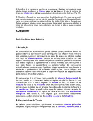 O felogênio é o meristema que forma a periderme. Divisões periclinais de suas
células iniciais produzem: o felema, súber ou cortiça em direção à periferia do
órgão e o feloderma ou córtex secundário em direção ao centro do órgão (Fig. 12).

O felogênio é formado por apenas um tipo de células iniciais. Em corte transversal,
este meristema aparece, como o câmbio vascular, formando uma faixa estratificada,
mais ou menos contínua, na circunferência do órgão. Esta faixa é formada por
fileiras radiais de células, sendo que em cada fileira radial, apenas uma célula é a
inicial do felogênio (a célula mais estreita) e as demais já são as suas derivadas
imediatas.

PARÊNQUIMA



Profa. Dra. Neuza Maria de Castro



1. Introdução

As características apresentadas pelas células parenquimáticas levou os
pesquisadores a acreditarem que o parênquima seja o tecido mais primitivo
dos vegetais. A origem parênquima, ou seja, de grupos de células ligadas
por meio de plasmodesmas, parece ter surgido pela prmeira vez nas
algas Charophyceae. Os fósseis de plantas terrestres primitivas mostram
que estes vegetais já apresentavam o corpo formado por parênquima e
que este tecido já apresentava as caracter´sistica do parênquima
encontrado nos musgos e nas hepáticas atuais. Acredita-se que durante a
evolução o parênquima foi sofrendo modificações, dando origem aos
diferentes tecidos que constituem o corpo do vegetal, se especializando
para atender diferentes funções..

O parênquima é o principal representante do sistema fundamental de
tecidos, sendo encontrado em todos os órgãos da planta, formando um
contínuo por todo o corpo vegetal: no córtex da raiz, no córtex e na
medula do caule e no mesofilo foliar. O parênquima pode existir ainda,
como células isoladas ou em grupos, fazendo parte do xilema do floema e
da periderme. Assim, o parênquima pode ter origem diversa, a partir do
meristema fundamental do ápice do caule e da raiz, dos meristemas
marginais das folhas e, nos órgãos que apresentam crescimento
secundário, podem originar-se do câmbio vascular e do felogênio.

2. Características do Tecido

As células parenquimáticas, geralmente, apresentam paredes primárias
delgadas, cujos principais componentes são a celulose, hemicelulose e
 