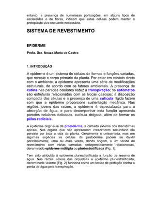 entanto, a presença de numerosas pontoações, em alguns tipos de
esclereídes e de fibras, indicam que estas células podem manter o
protoplasto vivo enquanto necessário.

SISTEMA DE REVESTIMENTO


EPIDERME
Profa. Dra. Neuza Maria de Castro



1. INTRODUÇÃO

A epiderme é um sistema de células de formas e funções variadas,
que reveste o corpo primário da planta. Por estar em contato direto
com o ambiente, a epiderme apresenta uma série de modificações
estruturais, de acordo com os fatores ambientais. A presença de
cutina nas paredes celulares reduz a transpiração; os estômatos
são estruturas relacionadas com as trocas gasosas; a disposição
compacta das células e a presença de uma cutícula rígida fazem
com que a epiderme proporcione sustentação mecânica. Nas
regiões jovens das raízes, a epiderme é especializada para a
absorção de água, e para desempenhar esta função apresenta
paredes celulares delicadas, cutícula delgada, além de formar os
pêlos radiciais.
A epiderme origina-se da protoderme, a camada externa dos meristemas
apicais. Nos órgãos que não apresentam crescimento secundário ela
persiste por toda a vida da planta. Geralmente é unisseriada, mas em
algumas espécies as células da protoderme podem se dividir
periclinalmente, uma ou mais vezes, dando origem, a um tecido de
revestimento com várias camadas, ontogeneticamente relacionadas,
denominado epiderme múltipla ou pluriestratificada (Fig. 1).

Tem sido atribuída à epiderme pluriestratificada a função de reserva de
água. Nas raízes aéreas das orquídeas a epiderme pluriestratificada,
denominada velame (Fig. 2) funciona como um tecido de proteção contra a
perda de água pela transpiração.
 