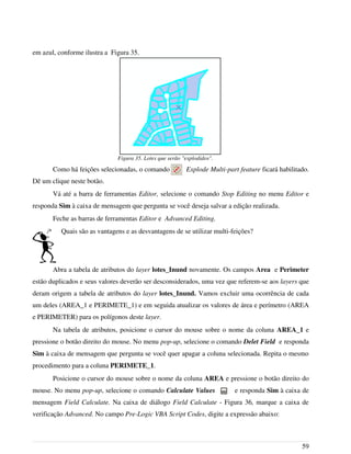 em azul, conforme ilustra a Figura 35.
Como há feições selecionadas, o comando Explode Multi-part feature ficará habilitado.
Dê um clique neste botão.
Vá até a barra de ferramentas Editor, selecione o comando Stop Editing no menu Editor e
responda Sim à caixa de mensagem que pergunta se você deseja salvar a edição realizada.
Feche as barras de ferramentas Editor e Advanced Editing.
Quais são as vantagens e as desvantagens de se utilizar multi-feições?
Abra a tabela de atributos do layer lotes_Inund novamente. Os campos Area e Perimeter
estão duplicados e seus valores deverão ser desconsiderados, uma vez que referem-se aos layers que
deram origem a tabela de atributos do layer lotes_Inund. Vamos excluir uma ocorrência de cada
um deles (AREA_1 e PERIMETE_1) e em seguida atualizar os valores de área e perímetro (AREA
e PERIMETER) para os polígonos deste layer.
Na tabela de atributos, posicione o cursor do mouse sobre o nome da coluna AREA_1 e
pressione o botão direito do mouse. No menu pop-up, selecione o comando Delet Field e responda
Sim à caixa de mensagem que pergunta se você quer apagar a coluna selecionada. Repita o mesmo
procedimento para a coluna PERIMETE_1.
Posicione o cursor do mouse sobre o nome da coluna AREA e pressione o botão direito do
mouse. No menu pop-up, selecione o comando Calculate Values e responda Sim à caixa de
mensagem Field Calculate. Na caixa de diálogo Field Calculate - Figura 36, marque a caixa de
verificação Advanced. No campo Pre-Logic VBA Script Codes, digite a expressão abaixo:
59
Figura 35. Lotes que serão "explodidos".
 