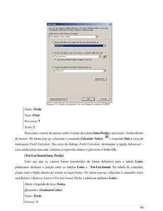 Name: Perda
Type: Float
Precision: 7
Scale: 2
Posicione o cursor do mouse sobre o nome da coluna lotes.Perda e pressione o botão direito
do mouse. No menu pop-up, selecione o comando Calculate Values e responda Sim à caixa de
mensagem Field Calculate. Na caixa de diálogo Field Calculate, desmarque a opção Advanced –
caso ainda esteja marcada, construa a expressão abaixo e pressione o botão OK.
[Tot-Lot-Inund.Sum_Perda]
Uma vez que os valores foram transferidos de forma definitiva para a tabela Lotes,
poderemos desfazer a junção entre as tabelas Lotes e Tot-Lot-Inund. Na tabela de conteúdo,
clique com o botão direito do mouse no layer Lotes. No menu pop-up, selecione o comando Joins
and Relates / Remove Join(s) / Tot-Lot-Inund. Feche a tabela de atributos Lotes.
Altere a legenda do layer Lotes.
Quantities: Graduated colors
Value: Perda
Classes: 3
64
Figura 39. União da tabela Tot-Lot-Inund à tabela LOTES.
 