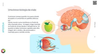 Arte
Terapia
APOSTILA
3
O processo começa quando a luz passa através
da pupila e é convertida em padrões elétricos
por
células neurais numa membrana no fundo do
olho chamada retina. A imagem chega invertida
no fundo da córnea devido a refração da luz. Só
quando os dados luminosos captados pelo olho
chegam até o cérebro, são processados e
invertidos para o sentido correto.
Uma breve biologia da visão
 