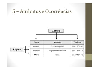 5 – Atributos e Ocorrências
 