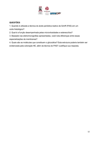12
QUESTÕES
1. Quando é utilizada a técnica do ácido periódico-reativo de Schiff (PAS) em um
corte histológico?
2. Qual é a função desempenhada pelas microvilosidades e estereocílios?
3. Baseado nas eletromicrografias apresentadas, você nota diferenças entre essas
especializações de membranas?
4. Quais são as moléculas que constituem o glicocálice? Esta estrutura poderia também ser
evidenciada pela coloração HE, além da técnica do PAS? Justifique sua resposta.
 