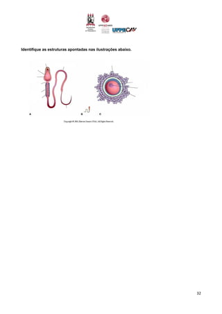 32
Identifique as estruturas apontadas nas ilustrações abaixo.
 