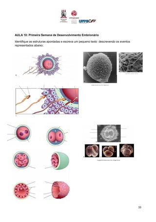 33
AULA 10: Primeira Semana de Desenvolvimento Embrionário
Identifique as estruturas apontadas e escreva um pequeno texto descrevendo os eventos
representados abaixo:
 