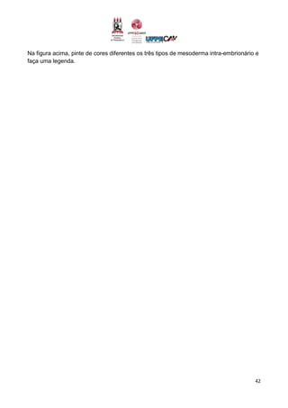 42
Na figura acima, pinte de cores diferentes os três tipos de mesoderma intra-embrionário e
faça uma legenda.
 