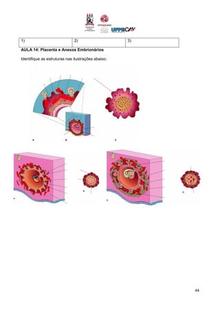 44
1) 2) 3)
AULA 14: Placenta e Anexos Embrionários
Identifique as estruturas nas ilustrações abaixo:
 