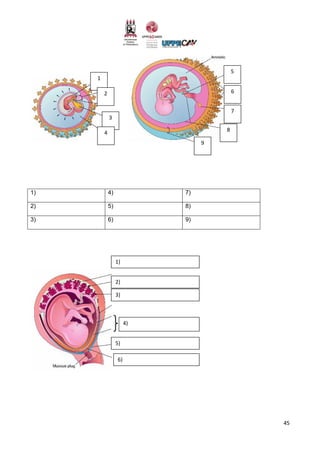 45
1) 4) 7)
2) 5) 8)
3) 6) 9)
1
2
3
4
5
6
7
8
9
1)
2)
3)
6)
5)
4)
 