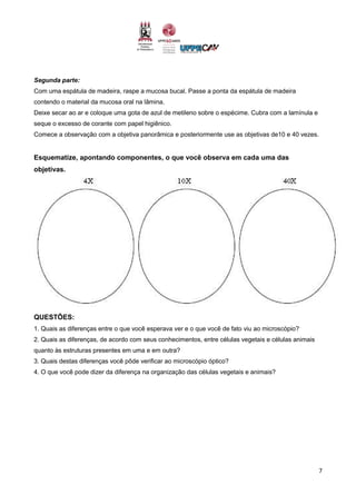 7
Segunda parte:
Com uma espátula de madeira, raspe a mucosa bucal. Passe a ponta da espátula de madeira
contendo o material da mucosa oral na lâmina.
Deixe secar ao ar e coloque uma gota de azul de metileno sobre o espécime. Cubra com a lamínula e
seque o excesso de corante com papel higiênico.
Comece a observação com a objetiva panorâmica e posteriormente use as objetivas de10 e 40 vezes.
Esquematize, apontando componentes, o que você observa em cada uma das
objetivas.
QUESTÕES:
1. Quais as diferenças entre o que você esperava ver e o que você de fato viu ao microscópio?
2. Quais as diferenças, de acordo com seus conhecimentos, entre células vegetais e células animais
quanto às estruturas presentes em uma e em outra?
3. Quais destas diferenças você pôde verificar ao microscópio óptico?
4. O que você pode dizer da diferença na organização das células vegetais e animais?
 