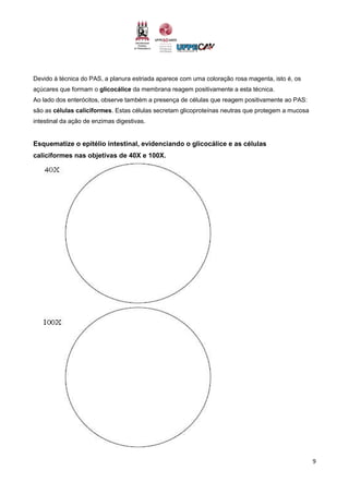 9
Devido à técnica do PAS, a planura estriada aparece com uma coloração rosa magenta, isto é, os
açúcares que formam o glicocálice da membrana reagem positivamente a esta técnica.
Ao lado dos enterócitos, observe também a presença de células que reagem positivamente ao PAS:
são as células caliciformes. Estas células secretam glicoproteínas neutras que protegem a mucosa
intestinal da ação de enzimas digestivas.
Esquematize o epitélio intestinal, evidenciando o glicocálice e as células
caliciformes nas objetivas de 40X e 100X.
 