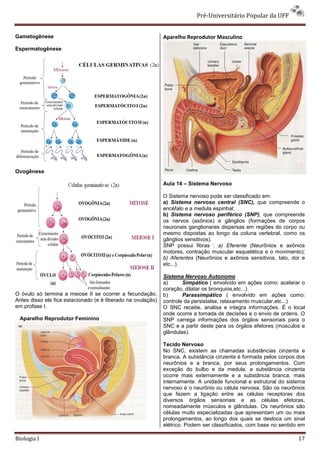 Pré-Universitário Popular da UFF


Gametogênese                                                  Aparelho Reprodutor Masculino
Espermatogênese




Ovogênese

                                                              Aula 14 – Sistema Nervoso

                                                              O Sistema nervoso pode ser classificado em:
                                                              a) Sistema nervoso central (SNC), que compreende o
                                                              encéfalo e a medula espinhal;
                                                              b) Sistema nervoso periférico (SNP), que compreende
                                                              os nervos (axônios) e gânglios (formações de corpos
                                                              neuronais ganglionares dispersas em regiões do corpo ou
                                                              mesmo dispostas ao longo da coluna vertebral, como os
                                                              gânglios sensitivos).
                                                              SNP possui fibras : a) Eferente (Neurônios e axônios
                                                              motores, contração muscular esquelética e o movimento);
                                                              b) Aferentes (Neurônios e axônios sensitivos, tato, dor e
                                                              etc...).

                                                              Sistema Nervoso Autonomo
                                                              a)      Simpático ( envolvido em ações como: acelarar o
                                                              coração, dilatar os bronquios,etc...)
O óvulo só termina a meiose II se ocorrer a fecundação.       b)      Parassimpático ( envolvido em ações como:
Antes disso ele fica estacionado (e é liberado na ovulação)   controle da persistalse, relaxamento muscular,etc...)
em profase I.                                                 O SNC recebe, analisa e integra informações. É o local
                                                              onde ocorre a tomada de decisões e o envio de ordens. O
 Aparelho Reprodutor Feminino                                 SNP carrega informações dos órgãos sensoriais para o
                                                              SNC e a partir deste para os órgãos efetores (músculos e
                                                              glândulas).

                                                              Tecido Nervoso
                                                              No SNC, existem as chamadas substâncias cinzenta e
                                                              branca. A substância cinzenta é formada pelos corpos dos
                                                              neurônios e a branca, por seus prolongamentos. Com
                                                              exceção do bulbo e da medula, a substância cinzenta
                                                              ocorre mais externamente e a substância branca, mais
                                                              internamente. A unidade funcional e estrutural do sistema
                                                              nervoso é o neurônio ou célula nervosa. São os neurônios
                                                              que fazem a ligação entre as células receptoras dos
                                                              diversos órgãos sensoriais e as células efetoras,
                                                              nomeadamente músculos e glândulas. Os neurônios são
                                                              células muito especializadas que apresentam um ou mais
                                                              prolongamentos, ao longo dos quais se desloca um sinal
                                                              elétrico. Podem ser classificados, com base no sentido em

Biologia I                                                                                                          17
 